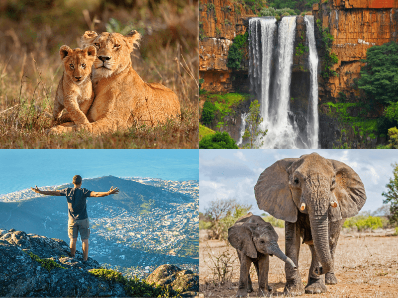 Africa travel package from Australia 
